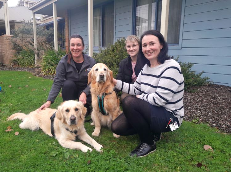 Grampians Health welcomes Dog Therapy Program shaped by consumer feedback