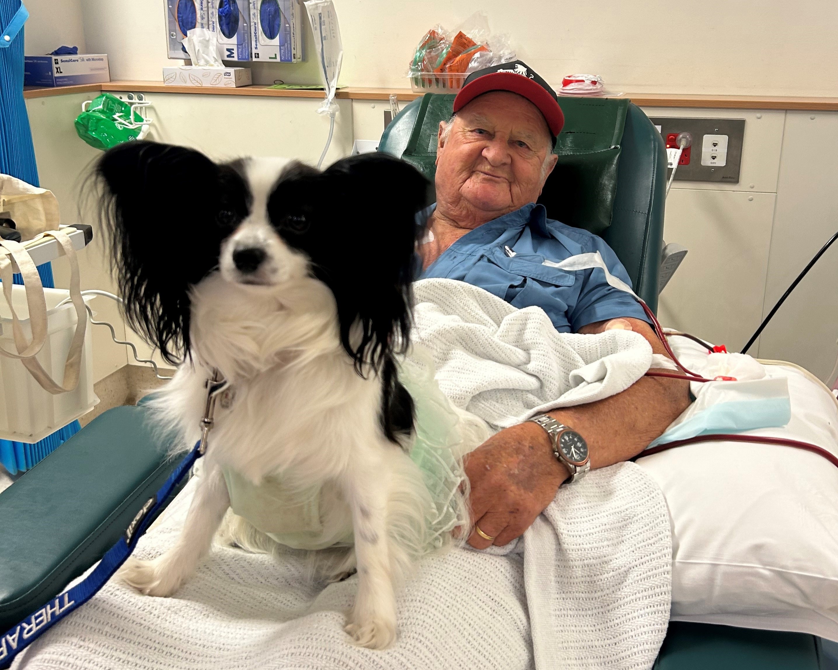 Therapy dogs bring comfort and smiles to Grampians Health